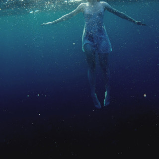 Flower Face - The Shark In Your Water album cover