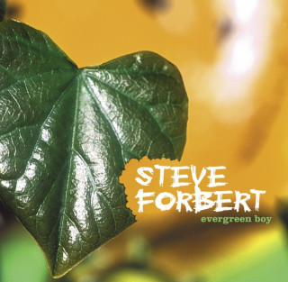 Steve Forbert - Evergreen Boy album cover