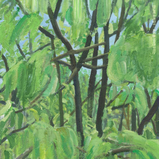 JANNABI - Jannabi's Small Pieces II : GRIPPIN'THEGREEN (잔나비 소곡집 ll : 초록을거머쥔우리는) EP cover