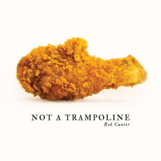 Rob Cantor - Not A Trampoline album cover