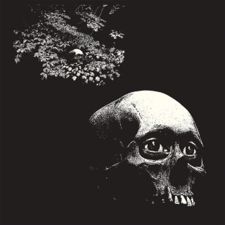 Osees - A Foul Form album cover