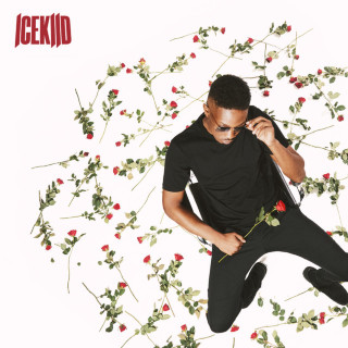 ICEKIID - INGEN ROSER UDEN TORNE album cover