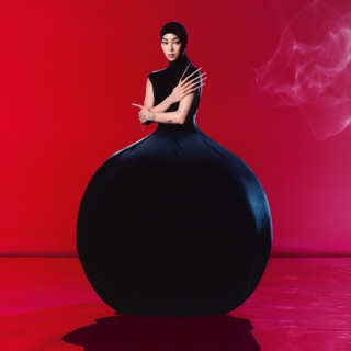 Rina Sawayama - Hold The Girl album cover