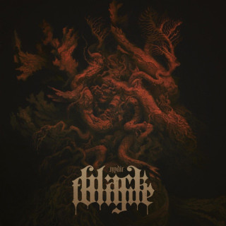 Black Tongue - Nadir album cover