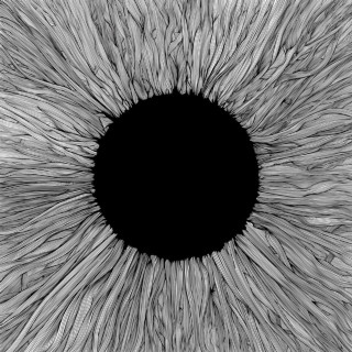 VOLA - Witness album cover