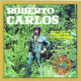 Roberto Carlos - Un Gato En La Oscuridad album cover