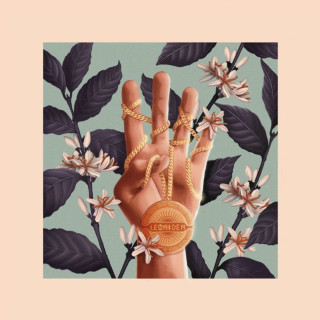 Leoniden - Leoniden album cover