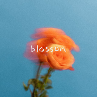 The Summer Set - Blossom album cover