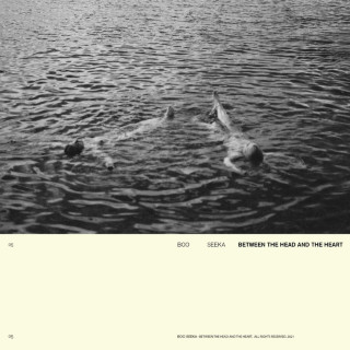 Boo Seeka - Between The Head & The Heart album cover