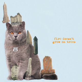The Brian Jonestown Massacre - Fire Doesn't Grow On Trees album cover