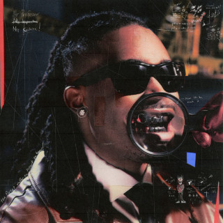 Cochise - THE INSPECTION album cover