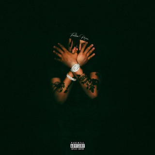 Summrs - Fallen Raven album cover
