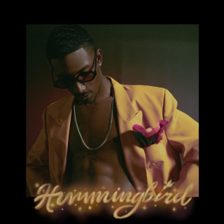 bLAck pARty - Hummingbird album cover
