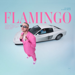 PlanBe & Sir Mich - Flamingo album cover