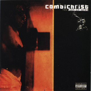 Combichrist - The Joy Of Gunz album cover