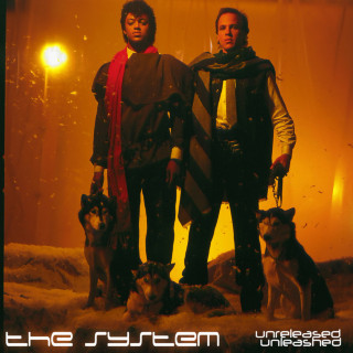 The System - Unreleased Unleashed compilation cover