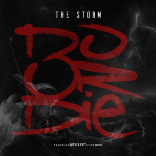 Do Or Die - THE STORM album cover