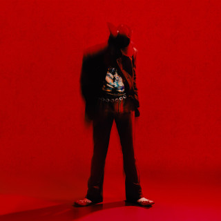DPR IAN - Moodswings In To Order album cover