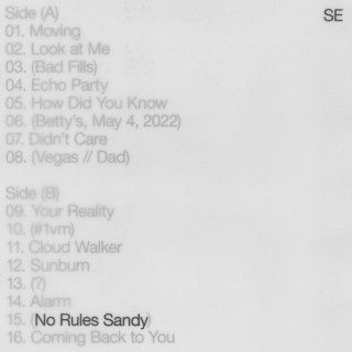 Sylvan Esso - No Rules Sandy album cover