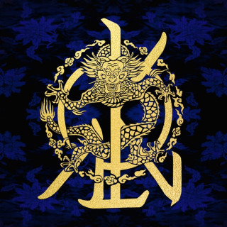 KINGDOM - History Of Kingdom: Pt. IV. Dann EP cover