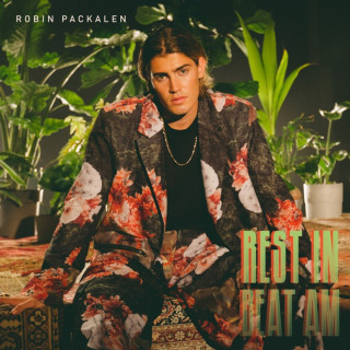 Robin Packalen - Rest In Beat AM EP cover