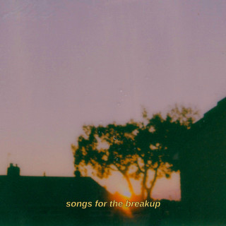 Landon Austin - Songs For The Breakup album cover