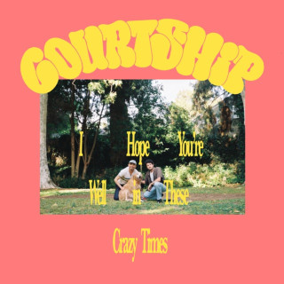courtship. - I Hope You're Well In These Crazy Times album cover