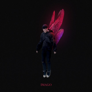 QUOK (КУОК) - Imago album cover