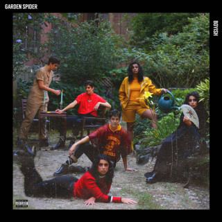 Boyish - Garden Spider album cover
