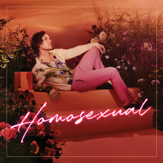 Darren Hayes - Homosexual album cover