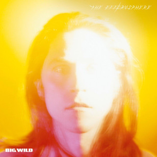 Big Wild - The Efferusphere album cover