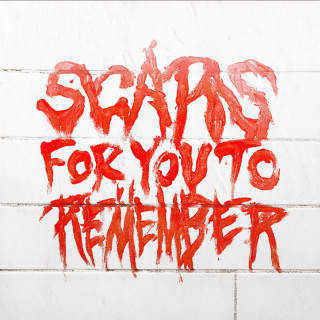Varials - Scars For You To Remember album cover