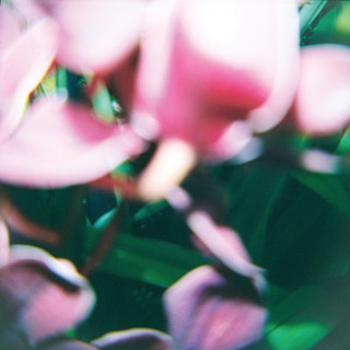 Trade Wind - You Make Everything Disappear album cover