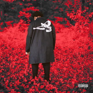 BIG30 - Last Man Standing album cover