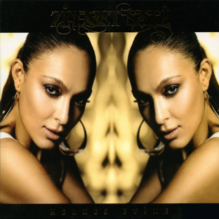 Ziynet Sali - Herkes Evine album cover