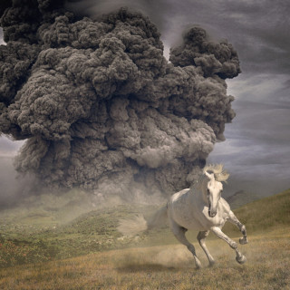 The White Buffalo - Year Of The Dark Horse album cover