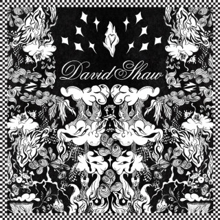 David Shaw - David Shaw album cover