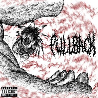 WHOKILLEDXIX - PULLBACK album cover