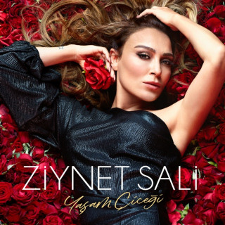 Ziynet Sali - Yaşam Çiçeği album cover