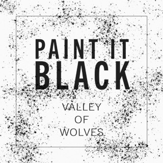 Valley Of Wolves - Paint It Black EP cover