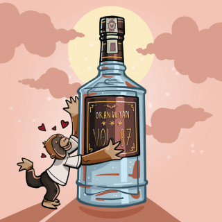 Diho - Orangutan Vol. 07 album cover
