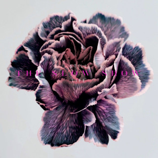 The Slow Show - STILL LIFE album cover