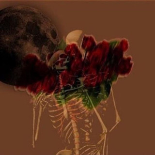 MAVI - No Roses mixtape cover
