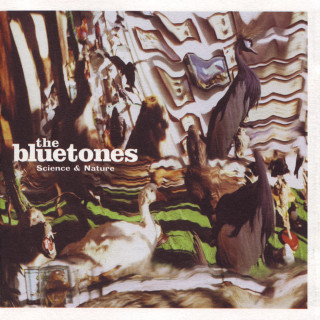 The Bluetones - Science & Nature album cover