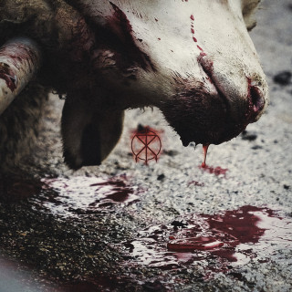 To The Grave - Director's Cuts album cover