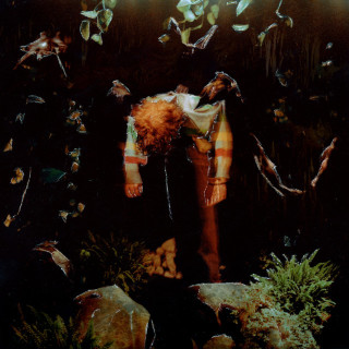 Cavetown - worm food album cover