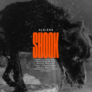 Algiers - Shook album cover