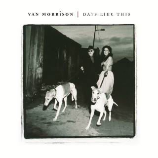 Van Morrison - Days Like This album cover