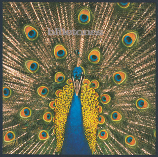 The Bluetones - Expecting To Fly album cover