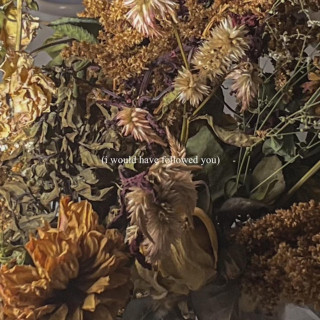 Delaney Bailey - (I Would Have Followed You) EP cover